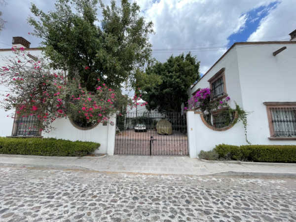 The Agency San Miguel de Allende
